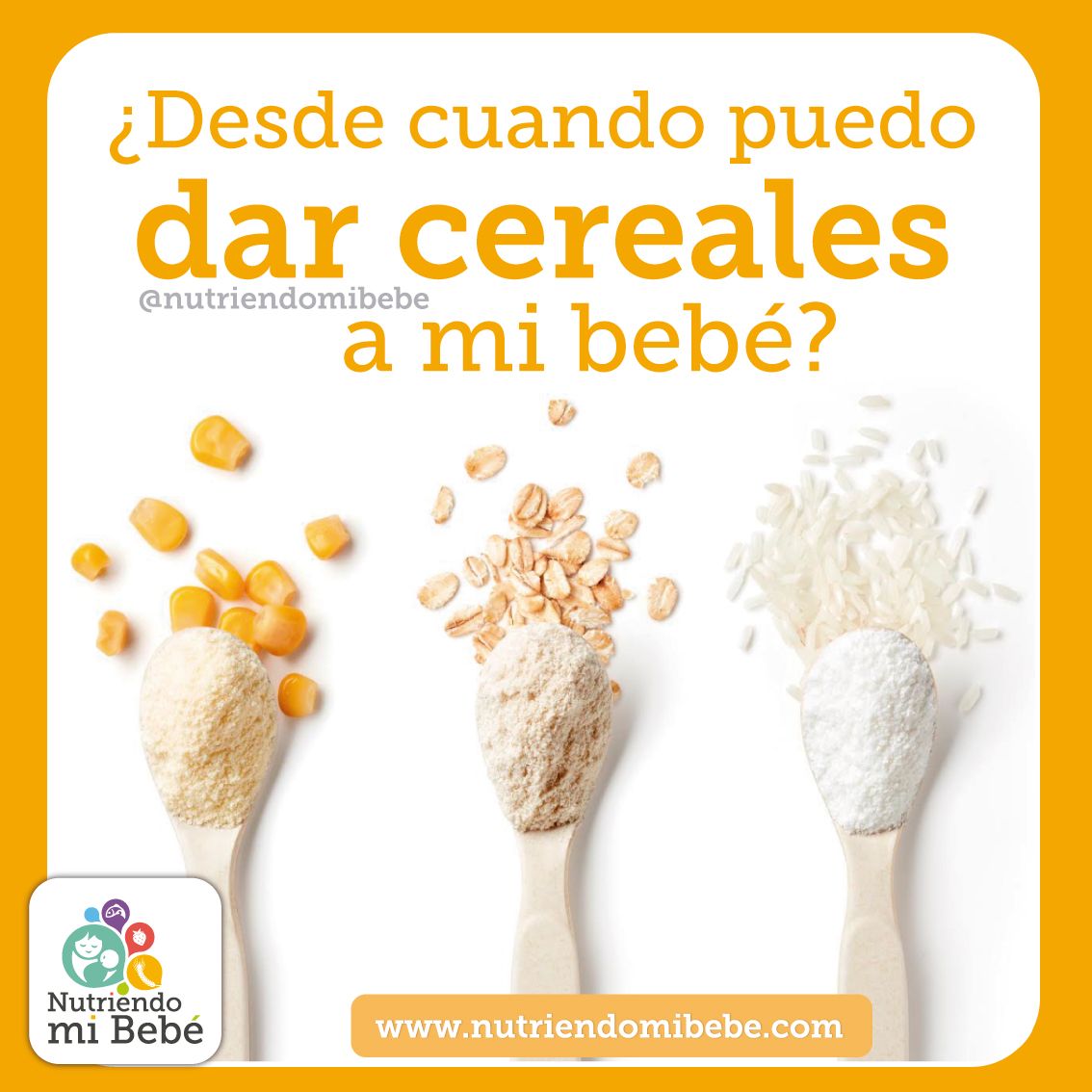 Nutriendo mi Bebé ¿Desde cuándo puedo dar cereales a mi bebé?