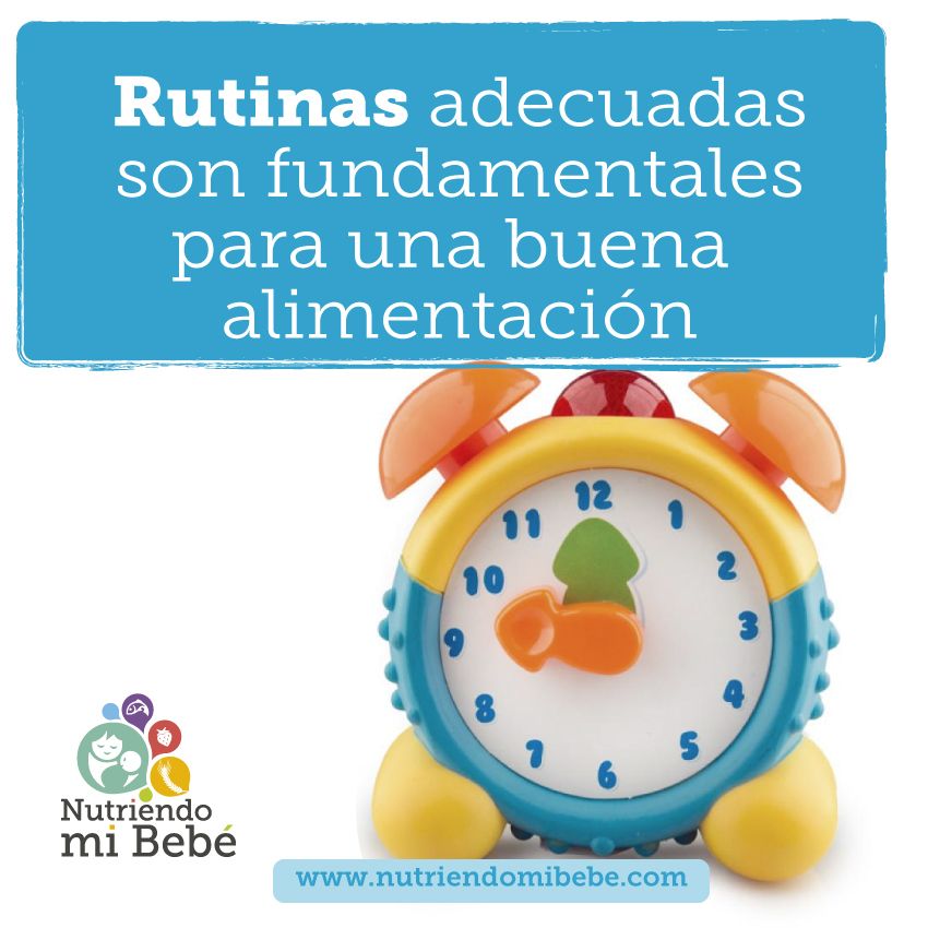 Rutinas adecuadas para una buena alimentación infantil