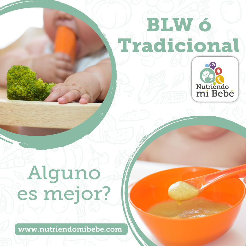 Alimentación complementaria