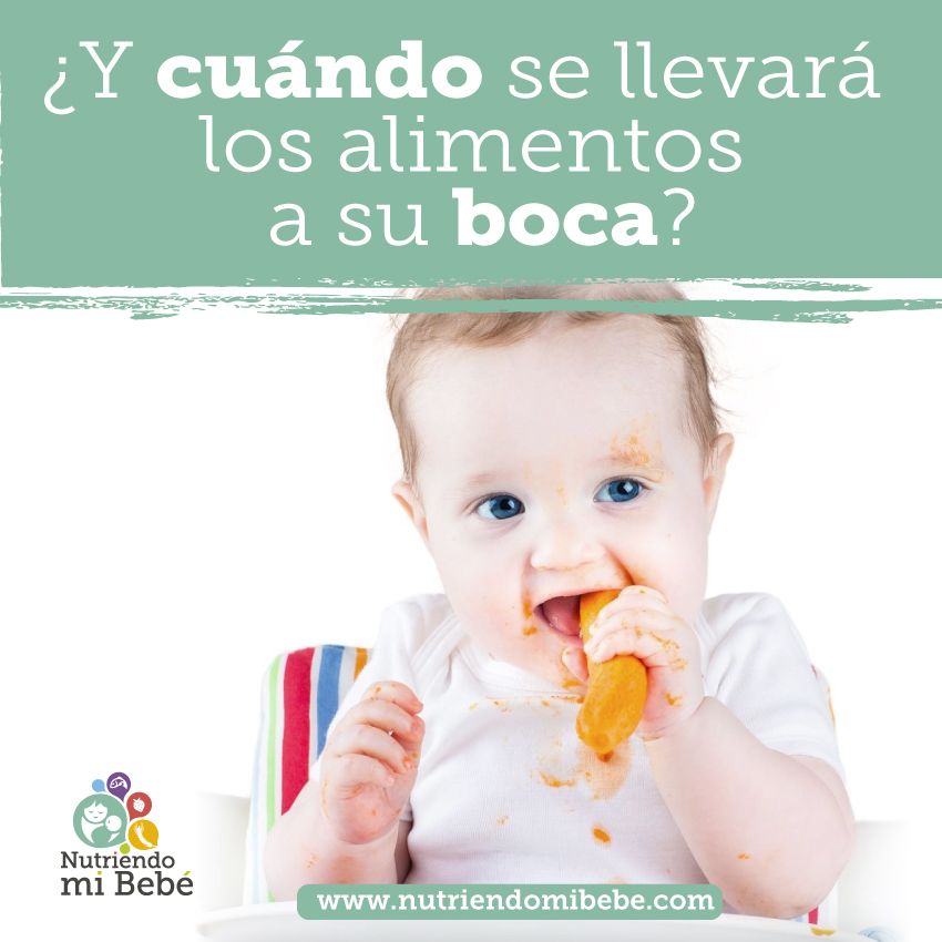 Primeros alimentos: Alimentación Complementaria