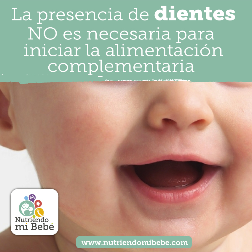 Los dientes en la alimentación complementaria