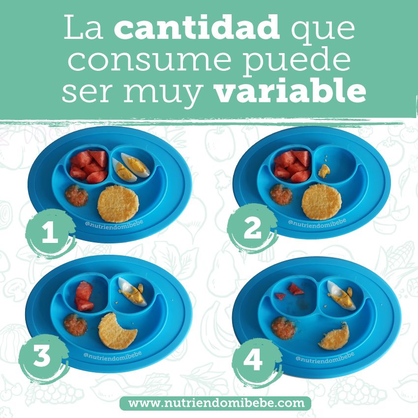 Mi hijo no se come todo lo que hay en el plato