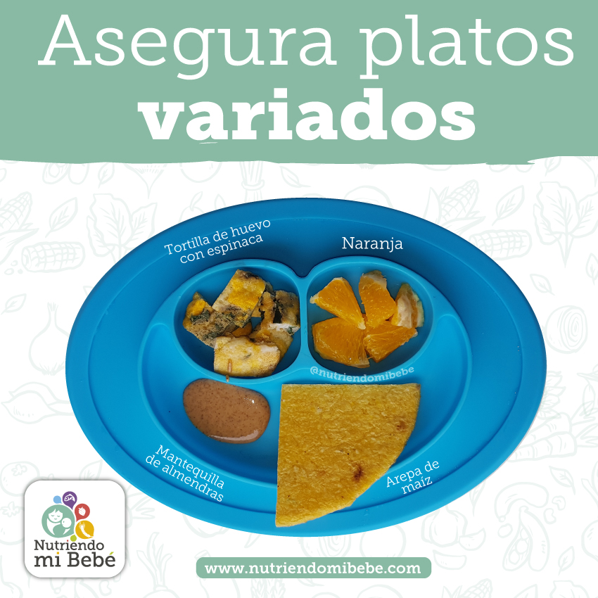 Porqué es importante la variedad en la nutrición infantil?