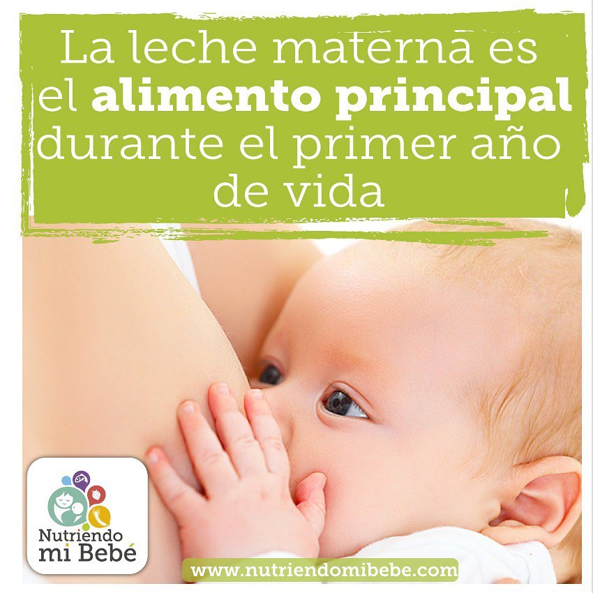 Leche Materna: principal alimento durante el primer año de vida