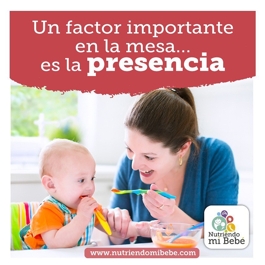 qué es alimentación perceptiva