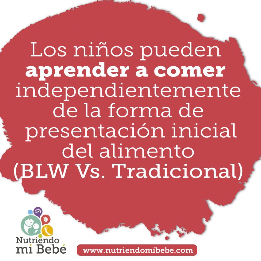 Papillas o BLW/BLISS