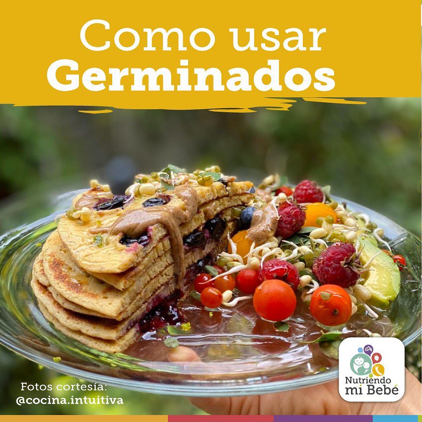 Cómo preparar germinados?