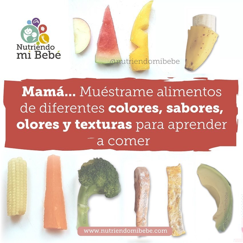 Exposición a los alimentos en la alimentación complementaria
