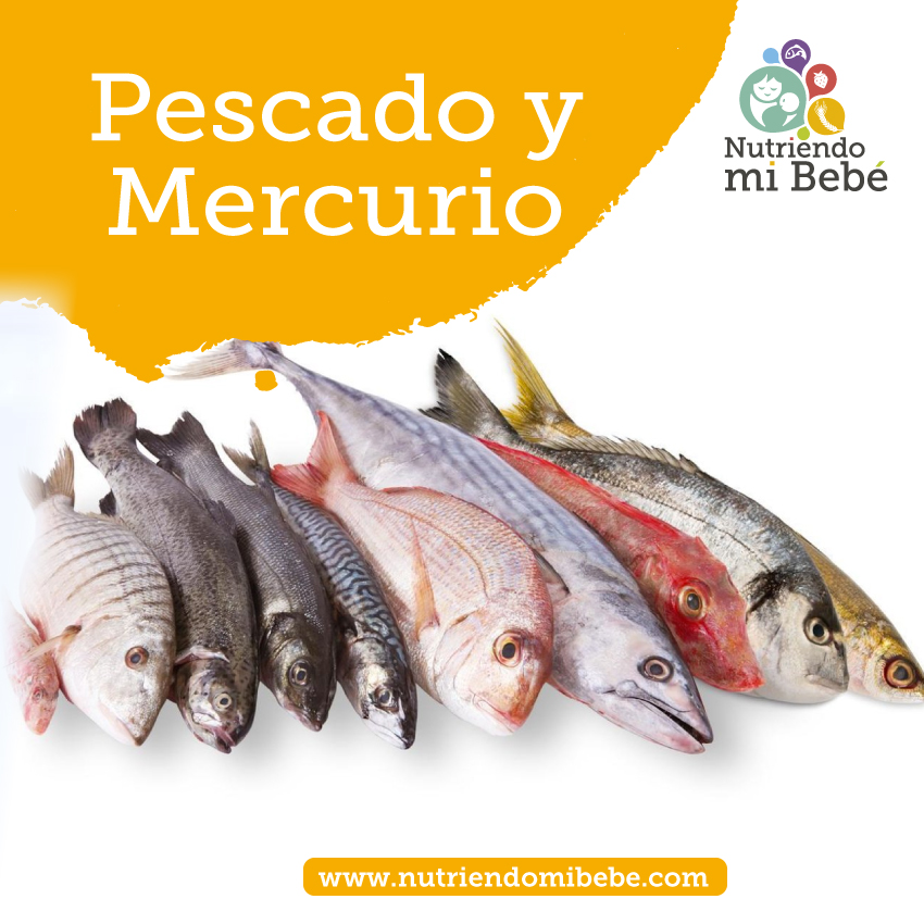 Cuándo incluir el pescado en la alimentación complementaria