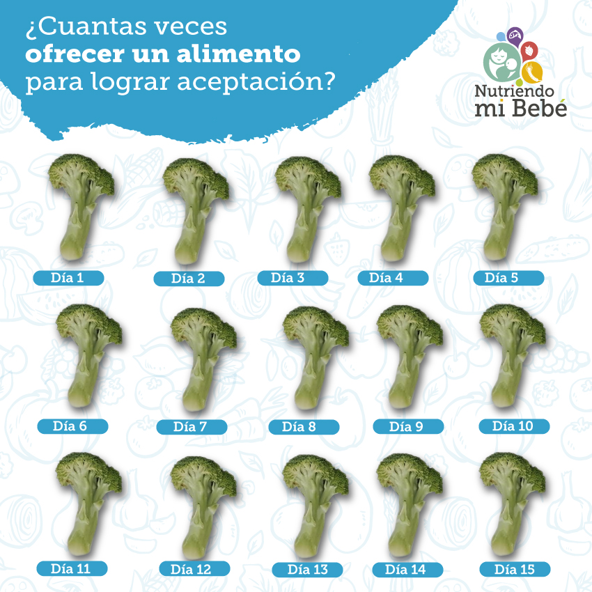 Cuantas veces ofrecer un alimento en la alimentación complementaria