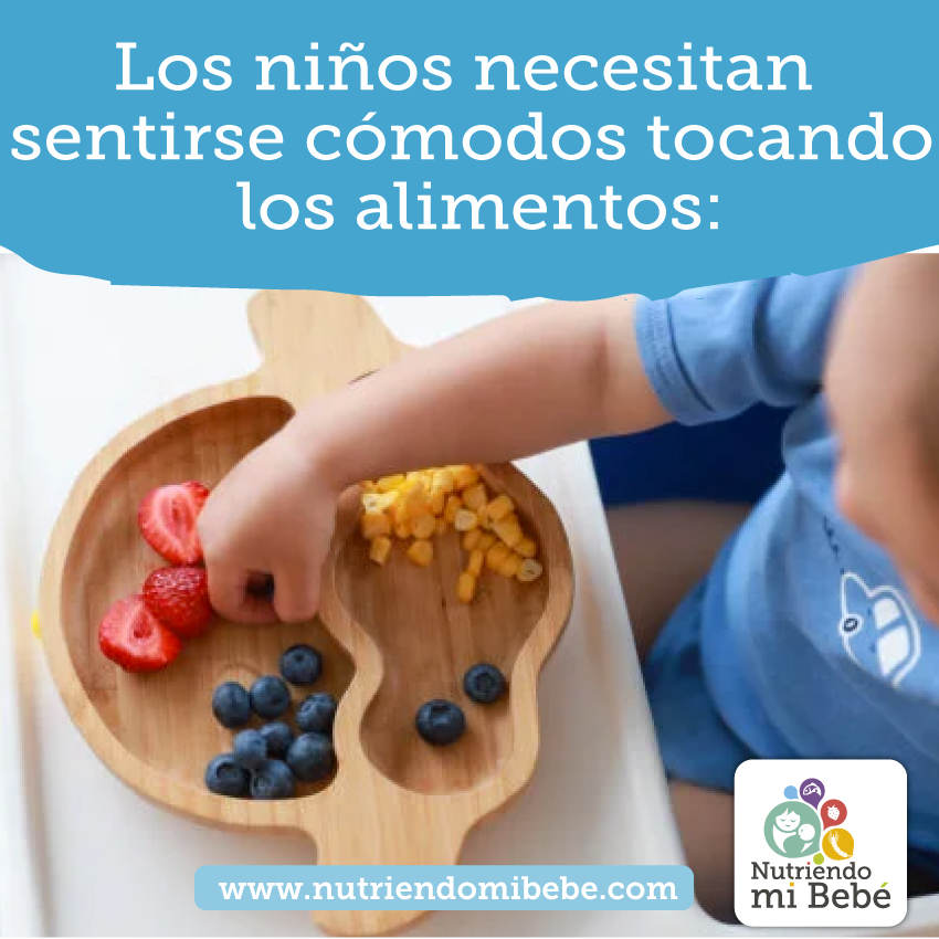 Porqué necesitan los niños tocar los alimentos?