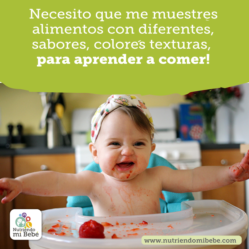 Exposición y Variedad en la Alimentación Complementaria.