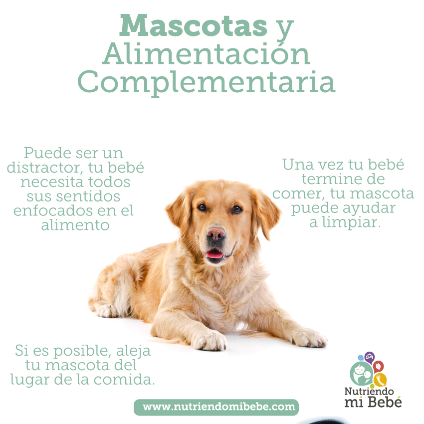 Las mascotas en la alimentación de los niños