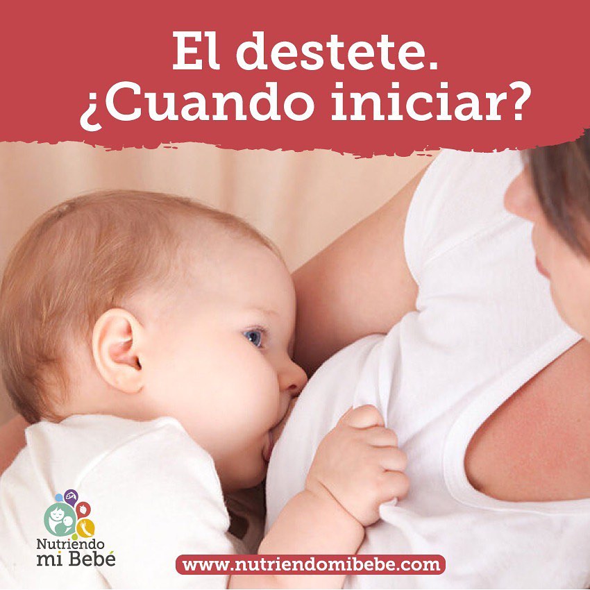 ¿Cuándo hacer el destete?