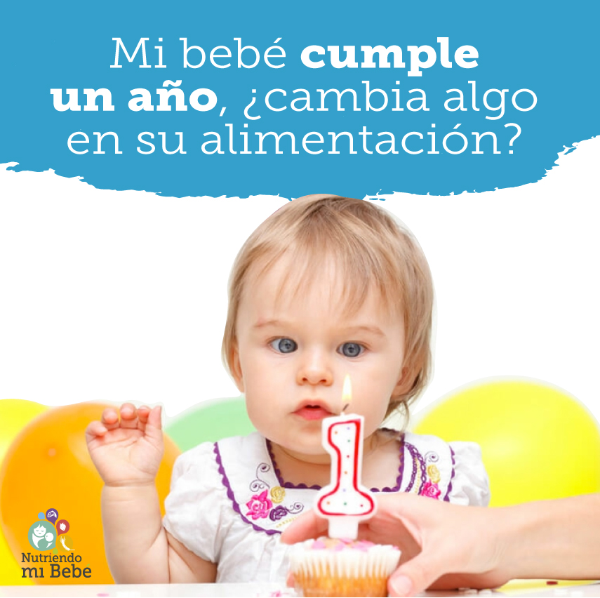 Alimentación 1er año