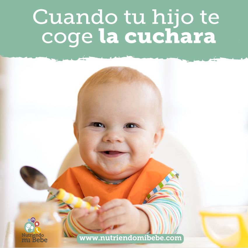 Qué hago si mi hijo(a) coge la cuchara cuando lo alimento?