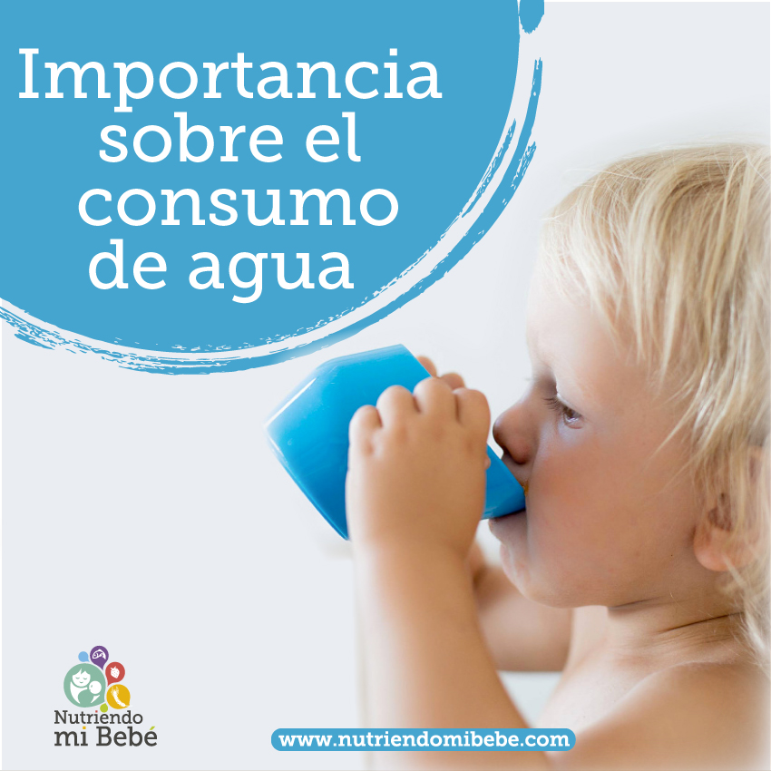 Importancia de consumir agua