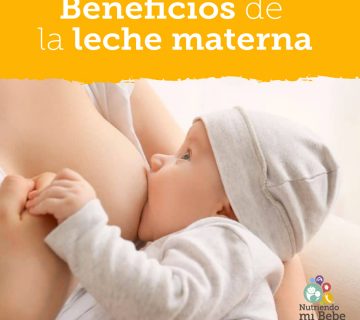 Leche Materna